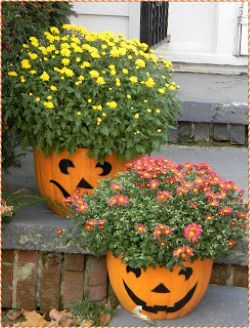 Flowers in pumpkin baskets